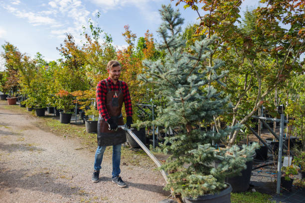 Best Lawn Watering Services  in Clarendon, TX